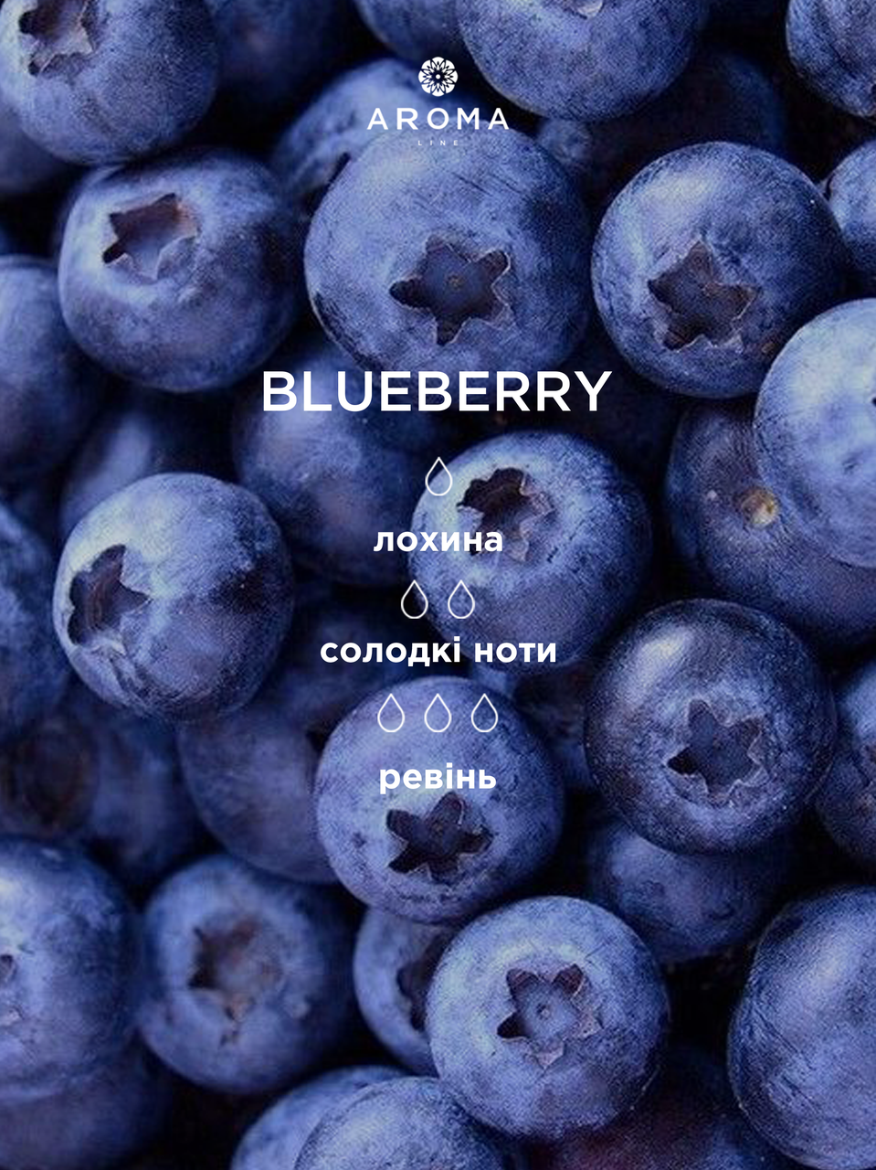 Аромат/отдушка для изготовления мыла и косметики Blueberry 100 г - фото 2