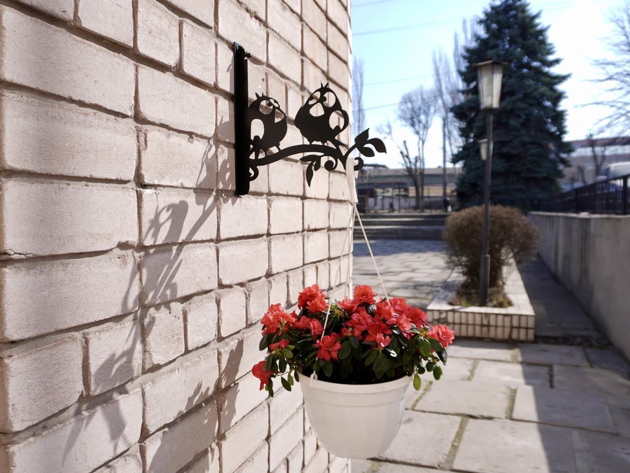 Кронштейн Смешные птички для кашпо с цветами метал Черный (М021) - фото 6 Кронштейн Смешные птички для кашпо с цветами метал Черный (М021) - фото 6