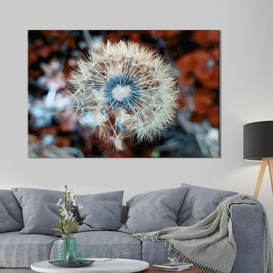 Картина на холсте Дикий одуванчик 51x34 см (830-1)