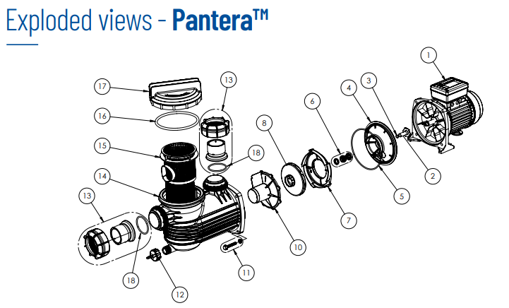 Насос для басейну Pentair Pantera 031, 6 м3/год 0,25 кВт 230 В (17510) - фото 4