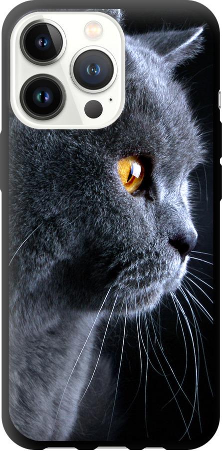 Чехол на iPhone 13 Pro Красивый кот (3038b-2372-42517)