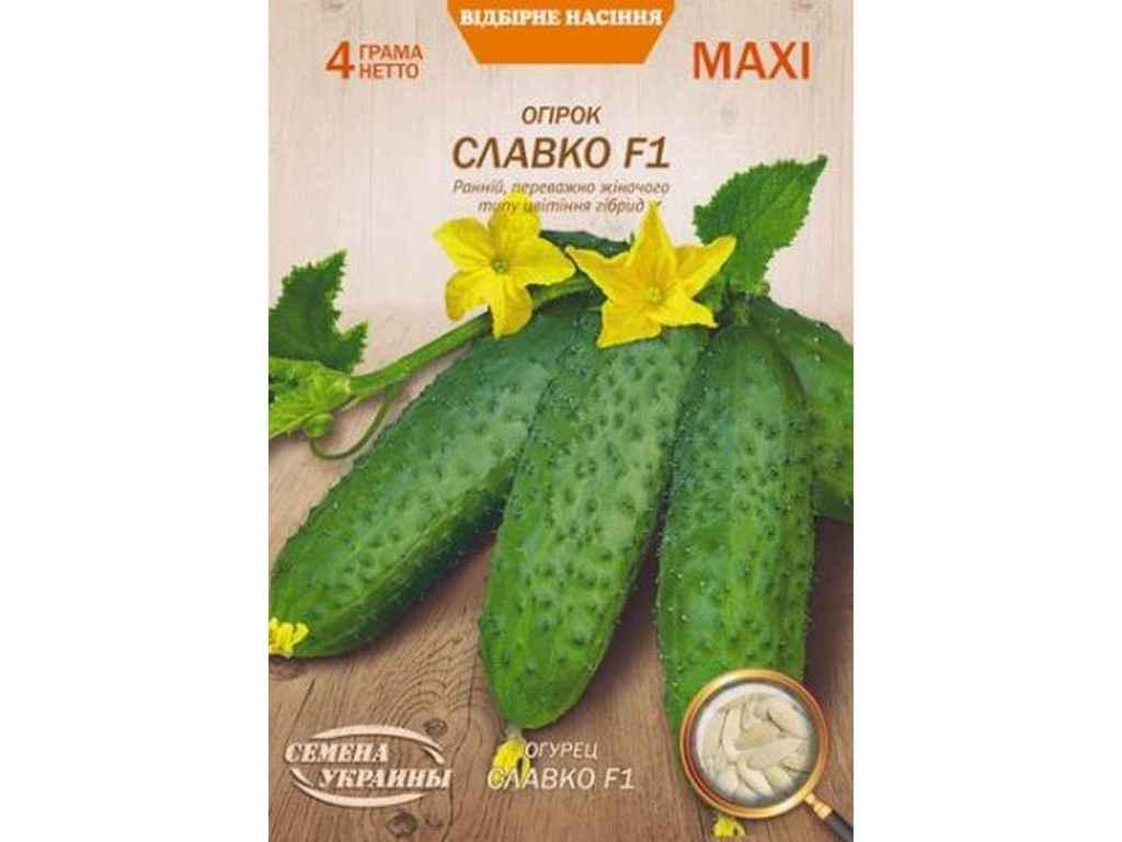 Семена Огурец Насіння України Макси СЛАВКО F1 4 г 10 пачек (633365)