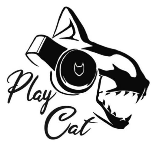 PlayCat