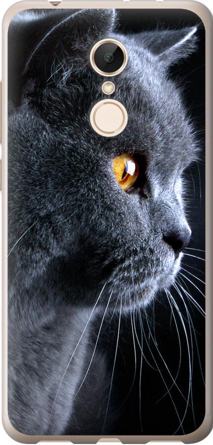 Чехол на Xiaomi Redmi 5 Красивый кот (3038u-1350-42517)