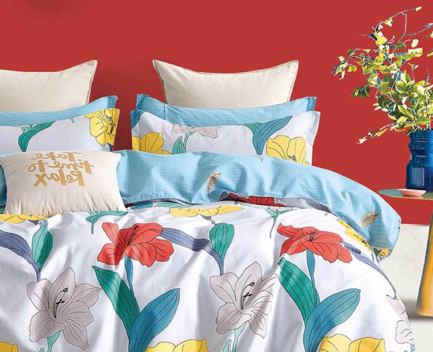 Постельное белье Вилюта твил 527 евро (2000024663)