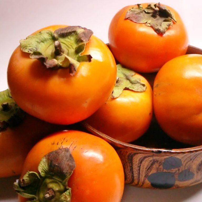 Саженец хурмы Божий Дар двухлетняя средняя самоплодная морозостойкая (596923374) - фото 2