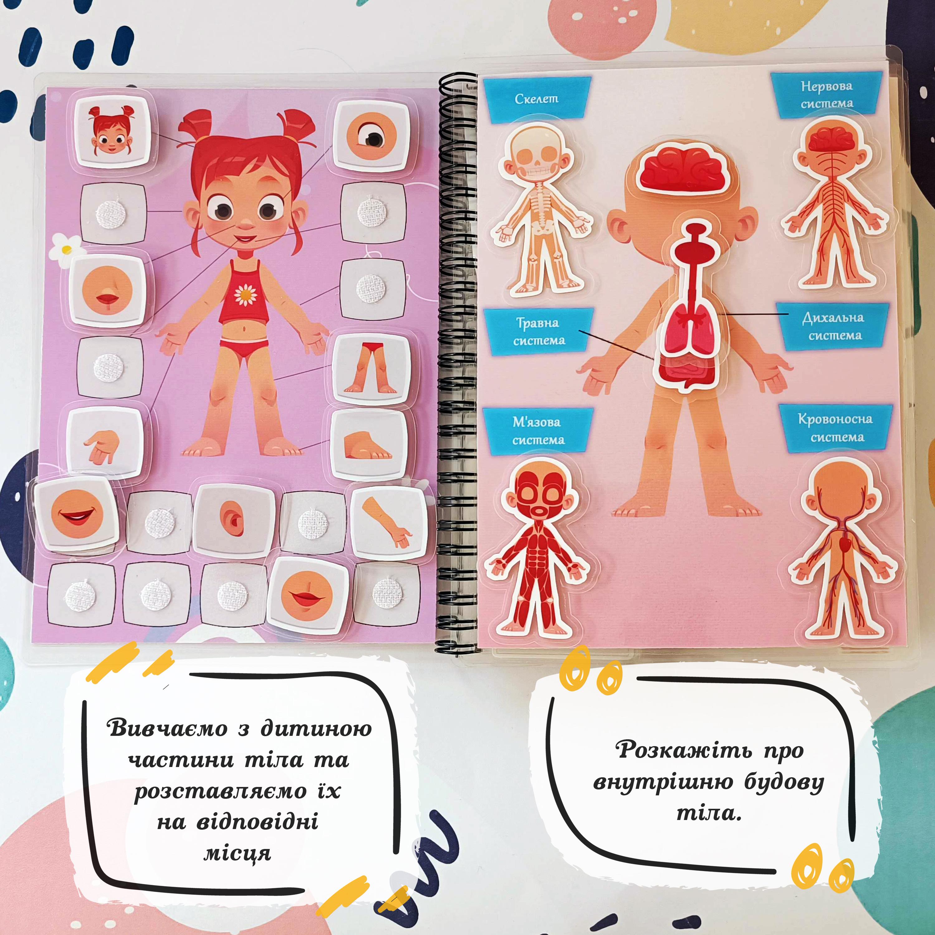 Ламинированный альбом-книга с играми на липучках "Моє тіло - дівчинка" для развития детей - фото 2