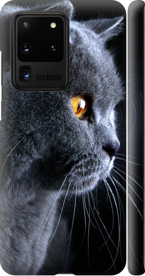 Чехол на Samsung Galaxy S20 Ultra Красивый кот (3038m-1831-42517)