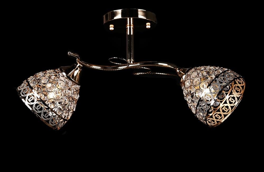 Люстра с плафонами Ray L3173/2 FGD (IR005982)