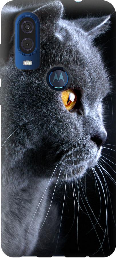 Чехол на Motorola One Vision Красивый кот (3038u-1782-42517)