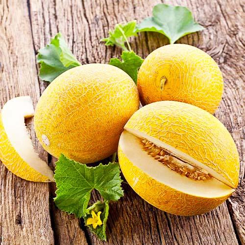 Семена Диня Florium Кредо F1 (15937)