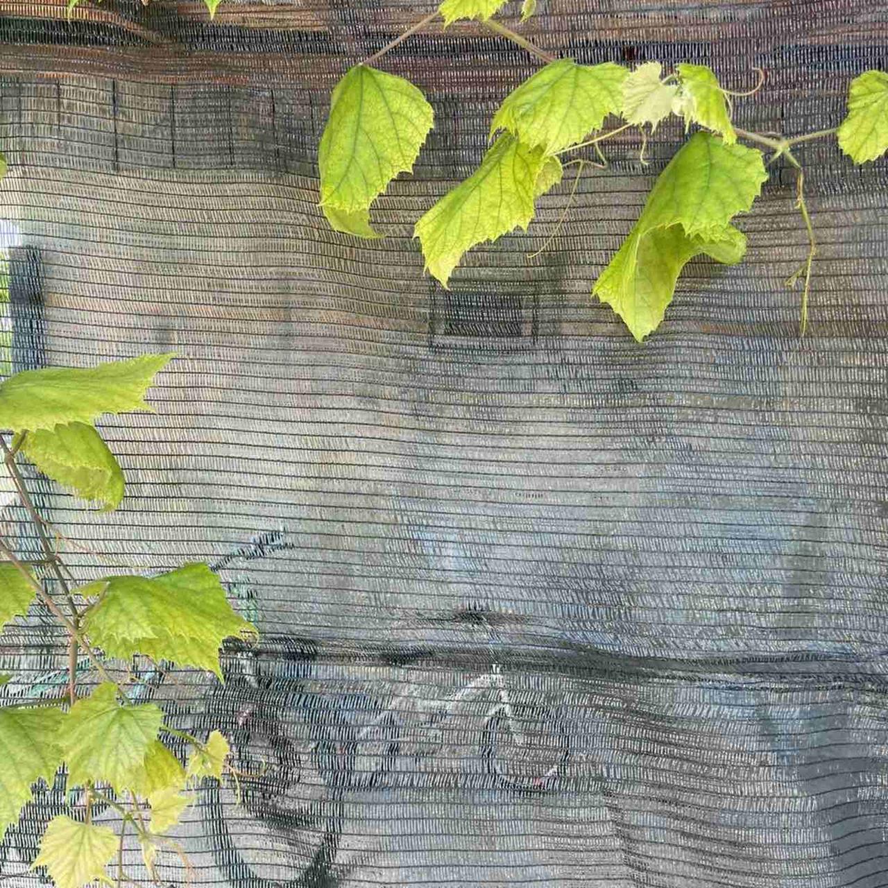 Сетка затененная 45% 3х50 м (MTA0373) - фото 3