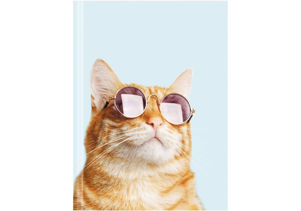 Ежедневник недатированный Economix Color A5 320 стр. принт (E22040)