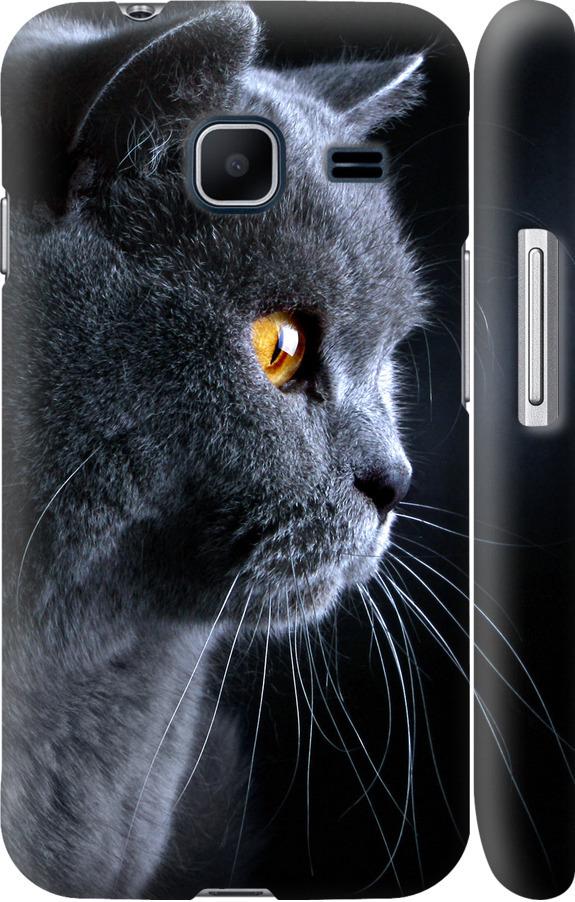 Чехол на Samsung Galaxy J1 Mini J105H Красивый кот (3038m-258-42517)