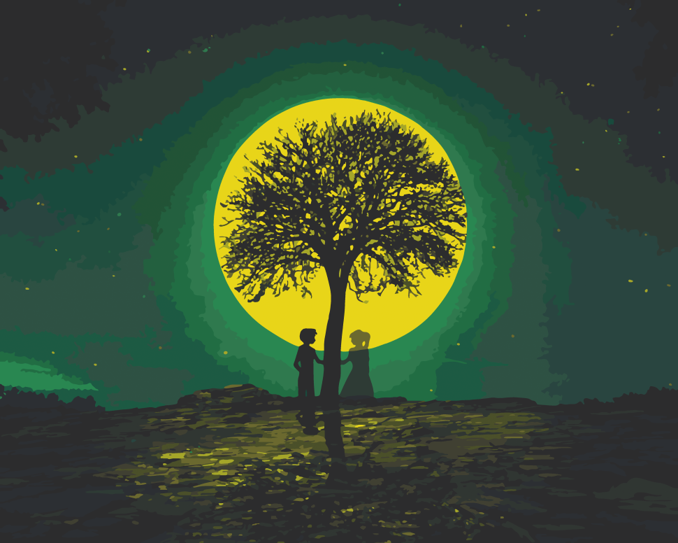 Картина по номерам Art Craft Призрачная встреча 40х50 см (10548-AC)