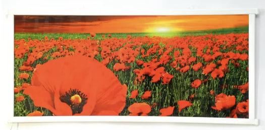 Инфракрасный обогреватель-панель Сейм Картина Маки 200 Вт Красный (su-10001) - фото 3 Инфракрасный обогреватель-панель Сейм Картина Маки 200 Вт Красный (su-10001) - фото 3