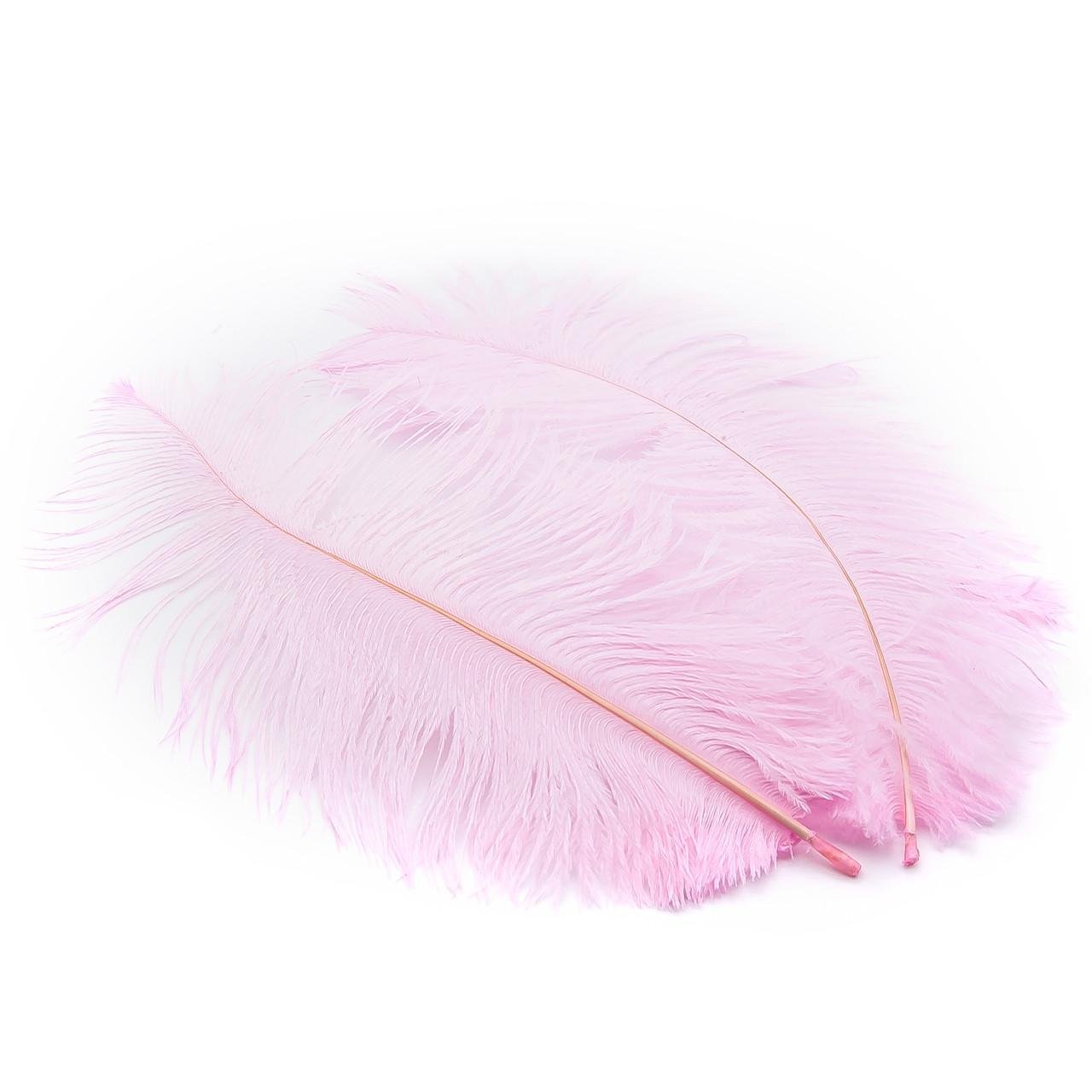 Перья страуса ЮАР 15-20 см 1 шт. Розовый (ПР1520с04) Перья страуса ЮАР 15-20 см 1 шт. Розовый (ПР1520с04)