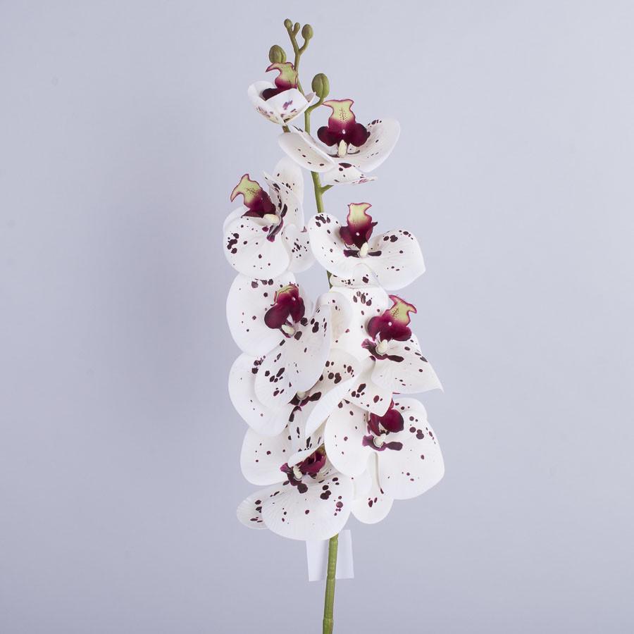 Орхидея латесная в точечки 98 см Белый/Коричневый (4653)