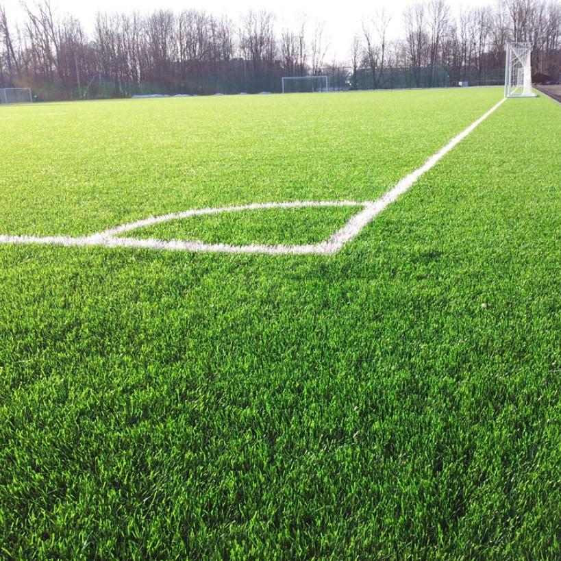 Семена газонной травы GrassNature Спортивная 1 кг (24463207) - фото 2 Семена газонной травы GrassNature Спортивная 1 кг (24463207) - фото 2