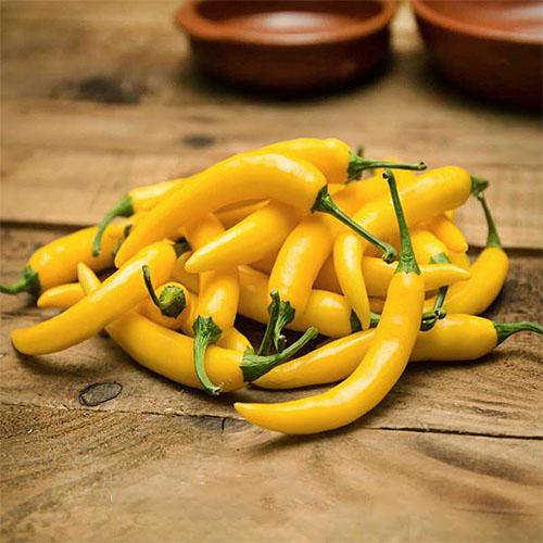 Семена Перець Florium гострий Угорський Жовтий (17057)