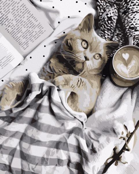 Картина по номерам Brushme Любимый котик 40х50 см в термопакете (GX36657)