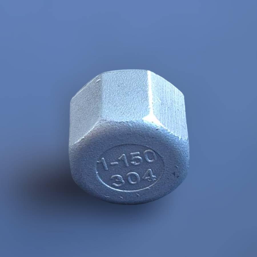 Заглушка різьбова восьмигранна DN25 BSPP н/ж сталь AISI304 Class-150 внутрішня різьба 1" (29203227) - фото 3 Заглушка різьбова восьмигранна DN25 BSPP н/ж сталь AISI304 Class-150 внутрішня різьба 1" (29203227) - фото 3