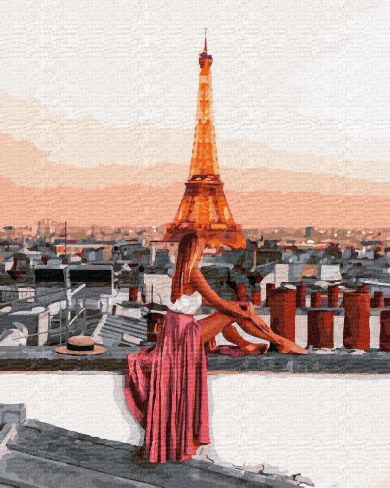 Картина по номерам Brushme Однажды на крыше 40х50 см (BRM36079)