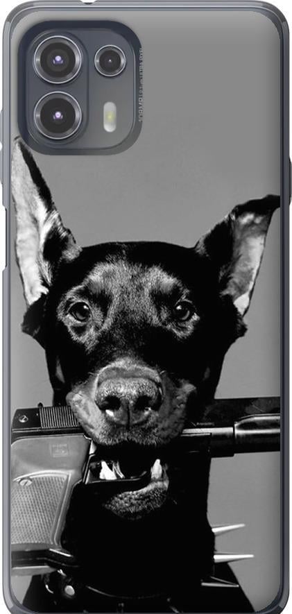Чехол на Motorola Edge 20 Lite Доберман (2745u-2496-42517) Чехол на Motorola Edge 20 Lite Доберман (2745u-2496-42517)