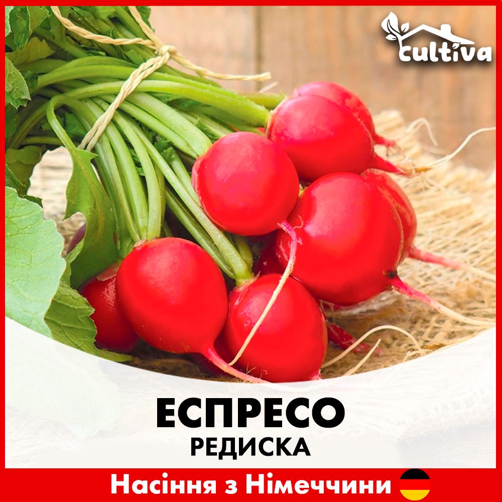 Семена редиса Satimex Эспрессо F1 10 г (R50217)