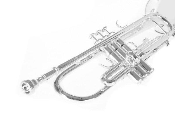 Труба Roy Benson TR-202S Bb-Trumpet (G-RB701072) - фото 12