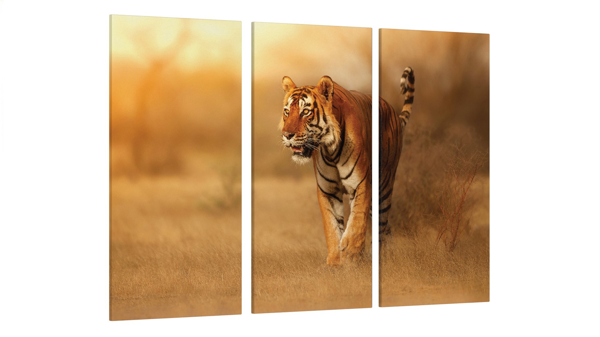 Картина модульная Природа Тигр (Art-183_XXL)