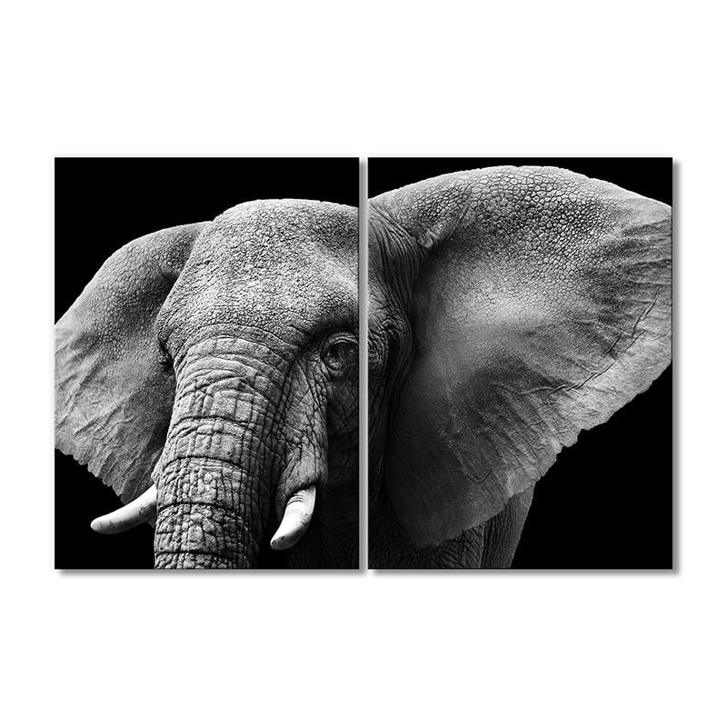 Картина модульная Величия слона, черно-белое фото 2 модуля 40х60 см
