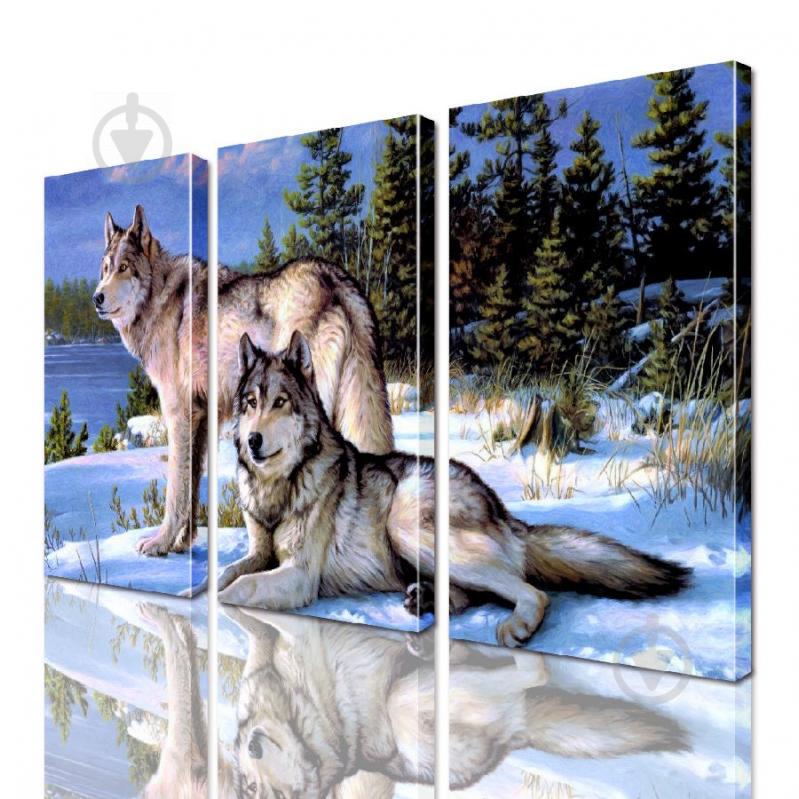 Модульная картина Волки ADJ0135 размер 150 х 180 см