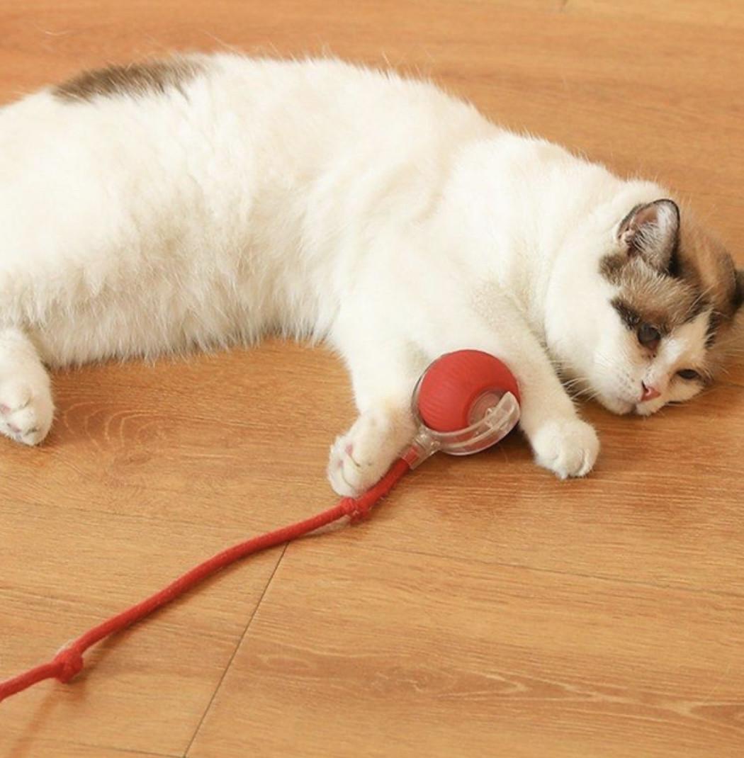 Інтерактивна іграшка для котів CatToy Розумний м'ячик 3 режими - фото 2 Інтерактивна іграшка для котів CatToy Розумний м'ячик 3 режими - фото 2