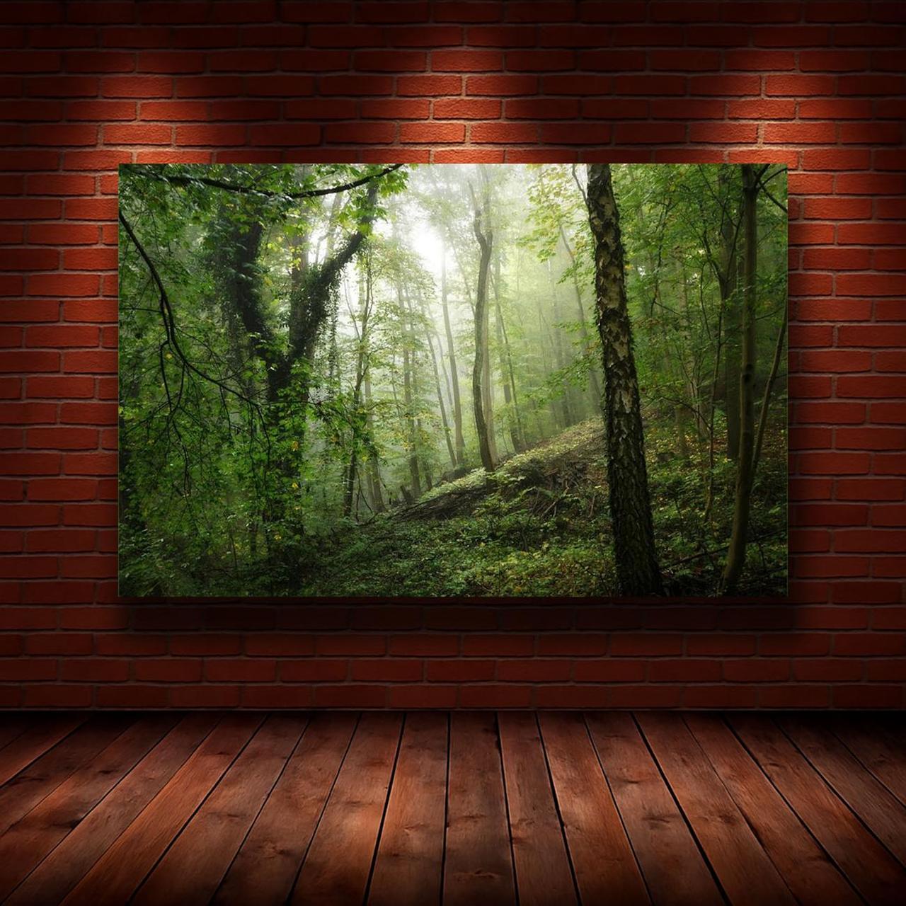 Картина на холсте Природа 50х70 см (N1198)
