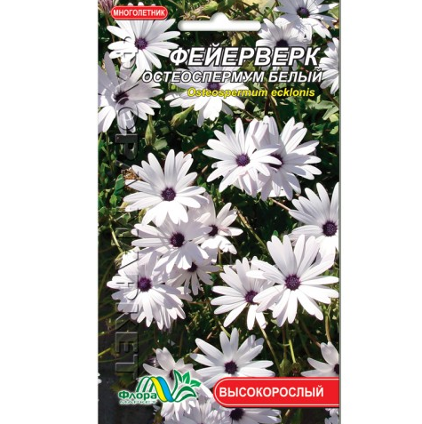 Семена Остеоспермум белый Фейерверк многолетник высокорослый 0,1 г (26111)