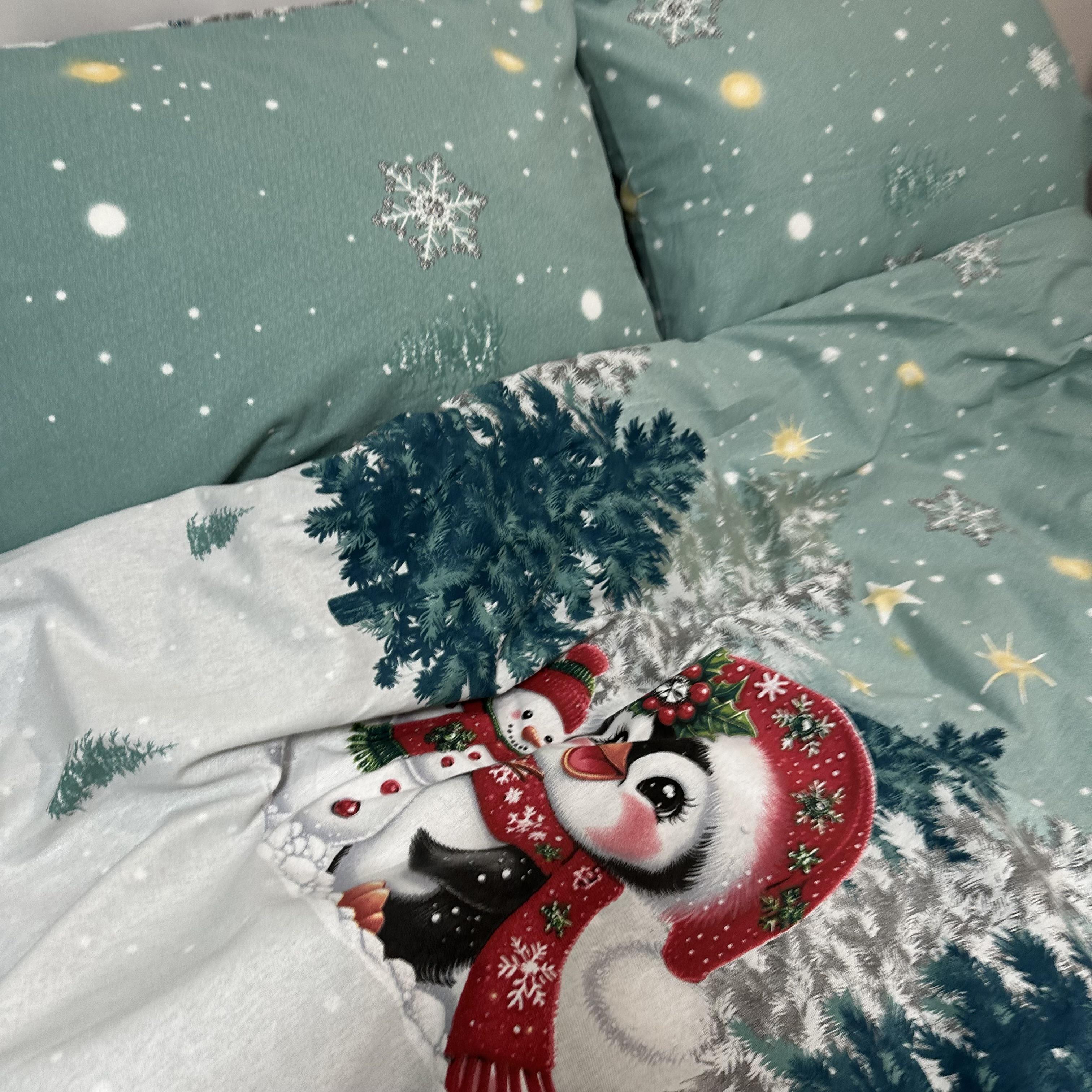 Комплект постільної білизни байкова Зимовий євро Бірюзовий (байка 10-3) - фото 6 Комплект постільної білизни байкова Зимовий євро Бірюзовий (байка 10-3) - фото 6