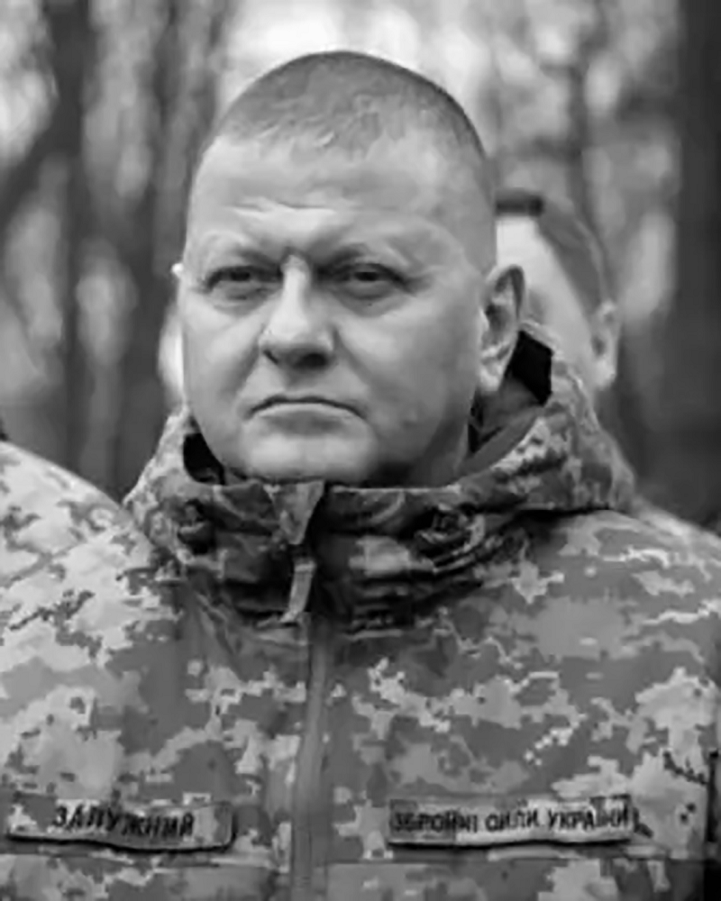 Алмазная мозаика Чарівний діамант Валерий Залужный 40x50 см (КДИ-1434)