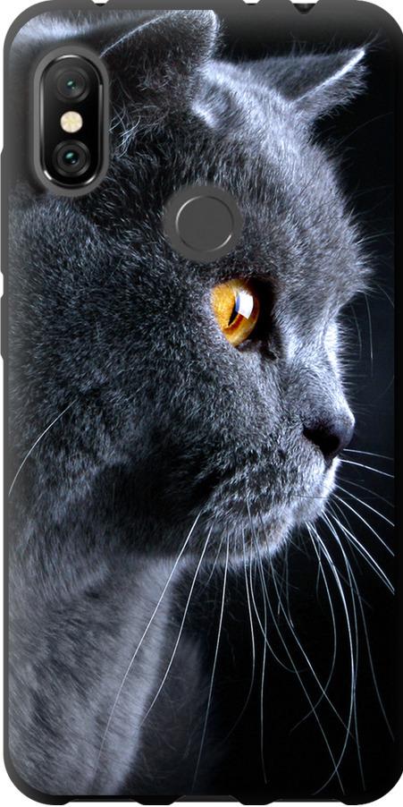 Чехол на Xiaomi Redmi Note 6 Pro Красивый кот (3038b-1551-42517)