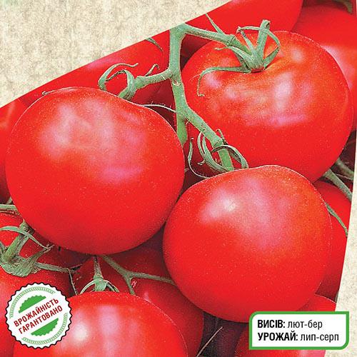 Насіння Томат Florium Ляна (10911) - фото 2 Насіння Томат Florium Ляна (10911) - фото 2