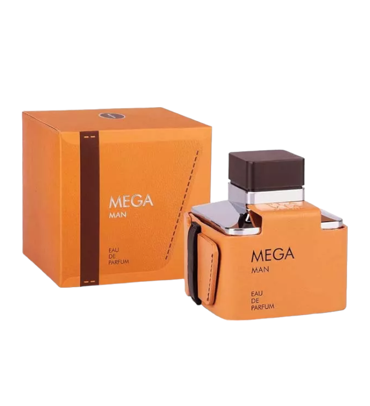 Парфюмированная вода мужская FLAVIA MEGA man EDP 100 мл (0044)
