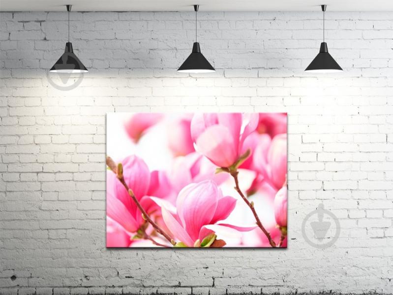 Картина на холсте ProfART S4560-c1510 60 x 45 см Цветы (hub_mYKg23450)