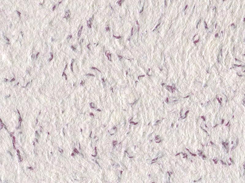 Рідкі шпалери Стиль Тип 28