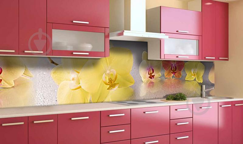 Наклейка виниловая кухонный фартук  Zatarga  "Пастельные Орхиде"  600х2500 мм