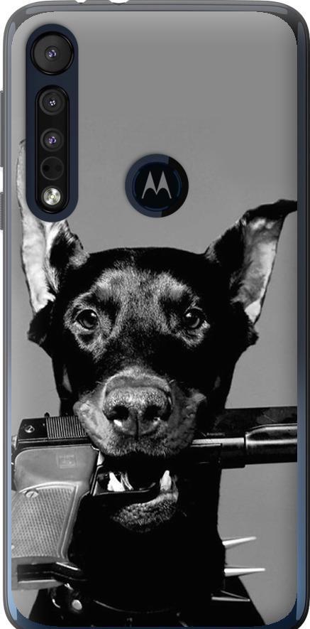 Чехол на Motorola One Macro Доберман (2745u-1812-42517)