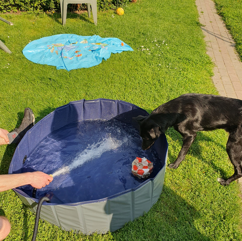 Бассейн для собак Purlov XXL 100x30 см (20929) - фото 10