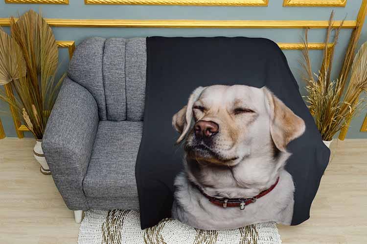 Плед Big labrador плюш двошаровий 135х150 см (113445-2)