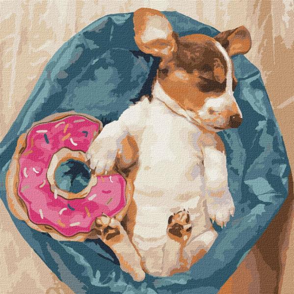 Картина по номерам Идейка Сладкие сны питомца 40х40 см в термопакете (KHO4202)