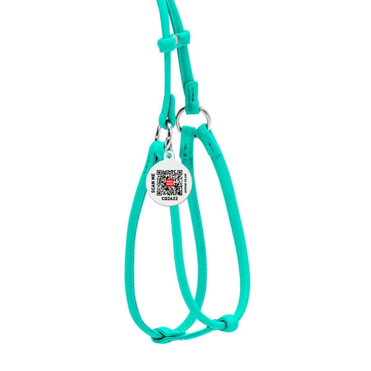 Шлея с поводком для собак Waudog Glamour с QR паспортом/круглая/кожаная 6 мм х 42-60 см х 46-64 см Ментоловый (340213 Col)
