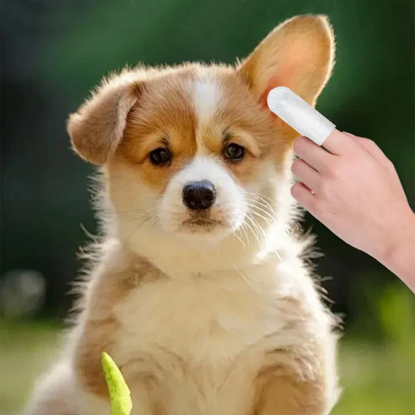 Салфетки по уходу за животными 50 шт. (J00127-1) - фото 10